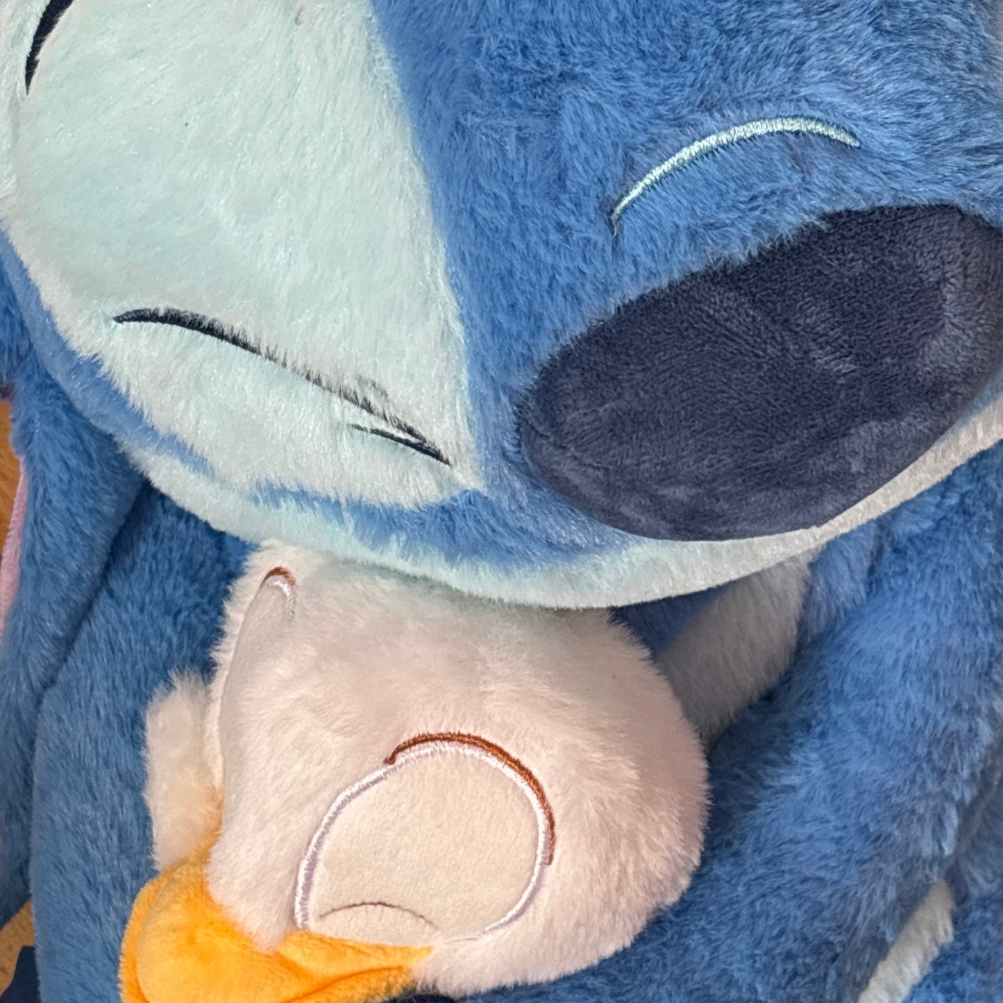 Stitch dorzom