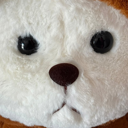 Capybara bear dorzom