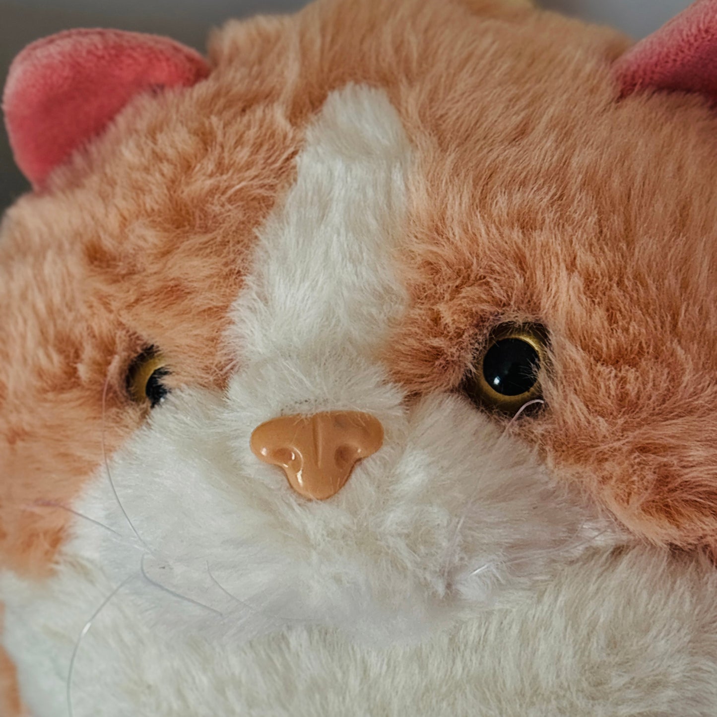 Toys-Buy Dorzom Toys For Kids Online in India