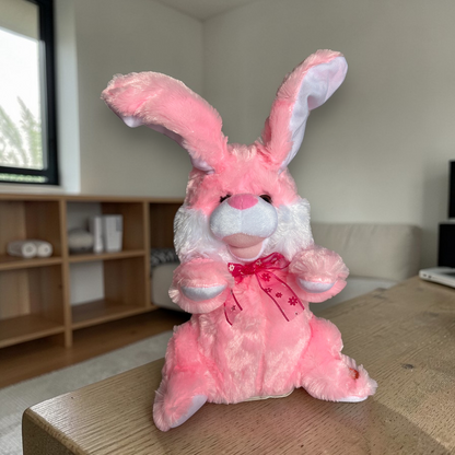 Dancing & Singing Cute Dancing Rabbit Singing Music Plush